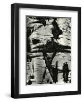 Bark Abstraction, Europe, 1971-Brett Weston-Framed Premium Photographic Print