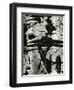 Bark Abstraction, Europe, 1971-Brett Weston-Framed Premium Photographic Print