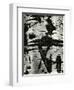 Bark Abstraction, Europe, 1971-Brett Weston-Framed Premium Photographic Print