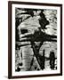 Bark Abstraction, Europe, 1971-Brett Weston-Framed Premium Photographic Print