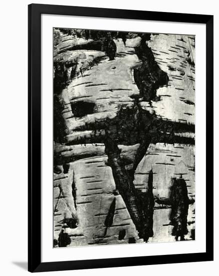 Bark Abstraction, Europe, 1971-Brett Weston-Framed Premium Photographic Print