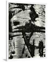 Bark Abstraction, Europe, 1971-Brett Weston-Framed Photographic Print