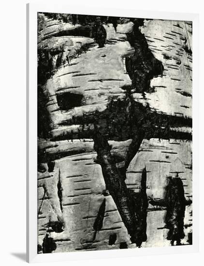 Bark Abstraction, Europe, 1971-Brett Weston-Framed Photographic Print