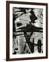 Bark Abstraction, Europe, 1971-Brett Weston-Framed Photographic Print