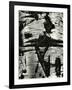 Bark Abstraction, Europe, 1971-Brett Weston-Framed Photographic Print