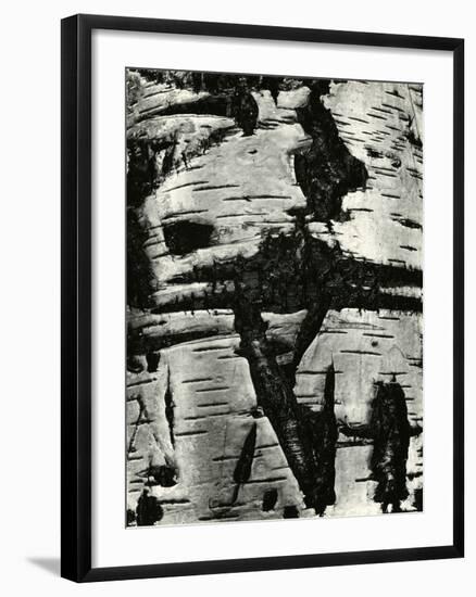 Bark Abstraction, Europe, 1971-Brett Weston-Framed Photographic Print