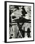 Bark Abstraction, Europe, 1971-Brett Weston-Framed Photographic Print