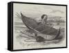 Bark Canoe from Terra Del Fuego-null-Framed Stretched Canvas