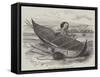 Bark Canoe from Terra Del Fuego-null-Framed Stretched Canvas