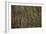 Bark Detail, Muir Woods, Marin Headlands, California-Anna Miller-Framed Photographic Print