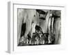 Bark, Europe, 1971-Brett Weston-Framed Premium Photographic Print