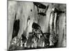 Bark, Europe, 1971-Brett Weston-Mounted Premium Photographic Print