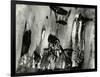 Bark, Europe, 1971-Brett Weston-Framed Photographic Print