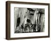 Bark, Europe, 1971-Brett Weston-Framed Photographic Print