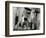 Bark, Europe, 1971-Brett Weston-Framed Photographic Print