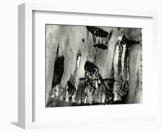 Bark, Europe, 1971-Brett Weston-Framed Photographic Print