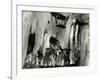 Bark, Europe, 1971-Brett Weston-Framed Photographic Print