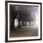 Bark Guards-Viviane Fedieu Daniel-Framed Photographic Print