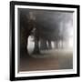 Bark Guards-Viviane Fedieu Daniel-Framed Photographic Print