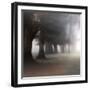 Bark Guards-Viviane Fedieu Daniel-Framed Photographic Print