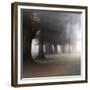 Bark Guards-Viviane Fedieu Daniel-Framed Photographic Print