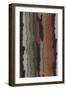 Bark Texture in Various Colors, Abstract Pattern-Found Image Press-Framed Giclee Print