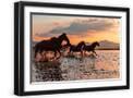 Black Frame