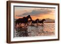Brown Frame