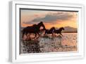 White Frame