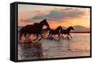 Canvas Black