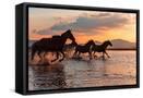 Canvas Black