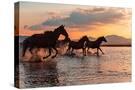 Stretched Canvas