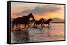 Canvas Black