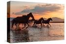 Stretched Canvas