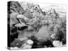 Barker Dam, Joshua Tree National Park, California, USA-Janell Davidson-Stretched Canvas