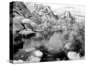 Barker Dam, Joshua Tree National Park, California, USA-Janell Davidson-Stretched Canvas