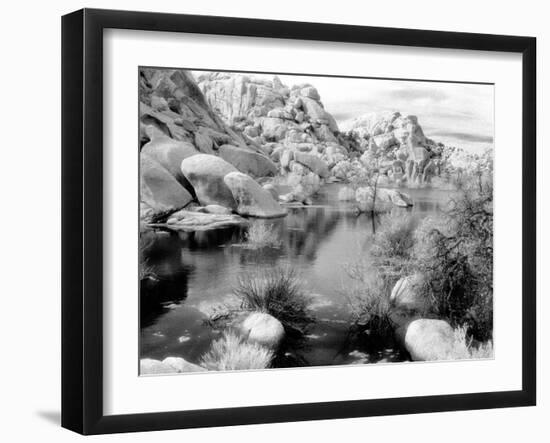 Barker Dam, Joshua Tree National Park, California, USA-Janell Davidson-Framed Photographic Print