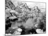 Barker Dam, Joshua Tree National Park, California, USA-Janell Davidson-Mounted Photographic Print