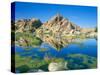 Barker Dam, Joshua Tree National Park, California, USA-Rob Tilley-Stretched Canvas