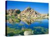Barker Dam, Joshua Tree National Park, California, USA-Rob Tilley-Stretched Canvas
