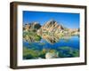 Barker Dam, Joshua Tree National Park, California, USA-Rob Tilley-Framed Photographic Print