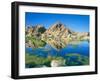 Barker Dam, Joshua Tree National Park, California, USA-Rob Tilley-Framed Photographic Print