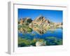 Barker Dam, Joshua Tree National Park, California, USA-Rob Tilley-Framed Photographic Print