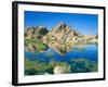 Barker Dam, Joshua Tree National Park, California, USA-Rob Tilley-Framed Photographic Print