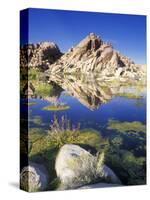 Barker Dam, Joshua Tree National Park, California, USA-Rob Tilley-Stretched Canvas