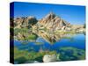 Barker Dam, Joshua Tree National Park, California, USA-Rob Tilley-Stretched Canvas