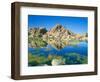 Barker Dam, Joshua Tree National Park, California, USA-Rob Tilley-Framed Photographic Print