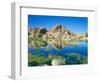 Barker Dam, Joshua Tree National Park, California, USA-Rob Tilley-Framed Photographic Print