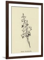 Barkia Howlaloudia-Edward Lear-Framed Giclee Print