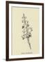 Barkia Howlaloudia-Edward Lear-Framed Giclee Print